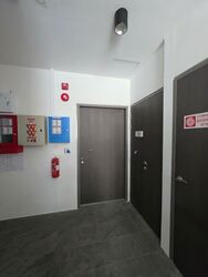 Serangoon Road (D8), Shop House #617487011